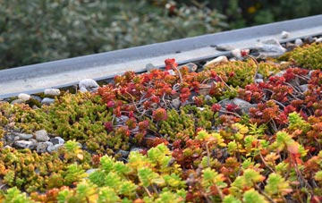 the cost of Asterby green roof installation