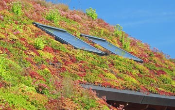 Asterby living roof systems